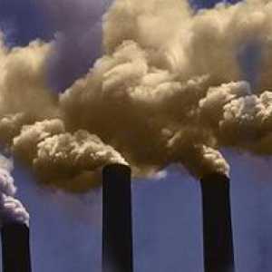 Как защитить воздух от загрязнения? Рекомендации экологов