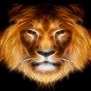 Kako osvojiti Leona Lav? Horoskop: žensko-lav i čovjek-lav