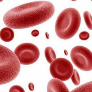 Kako se naziva tekući dio krvi?