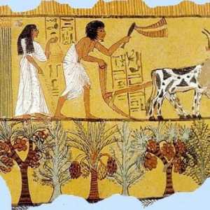 Kako su poljoprivrednici i obrtnici živjeli u Egiptu? Život poljoprivrednika u starom Egiptu