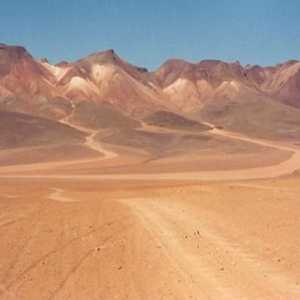 Koja je velika pustinja u Južnoj Americi? Jedna od najvećih pustinja svijeta u Južnoj Americi