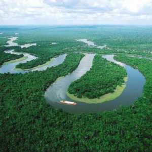 Koja je rijeka duža: Amazon ili Nil? Usporedba duljine Nila i dužine Amazone