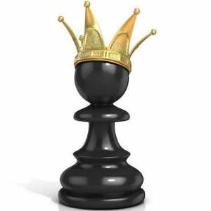 Koja je zemlja rodno mjesto šaha?