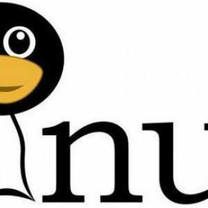 Koji su urednici teksta u Linuxu?