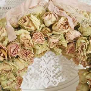 Kakvo cvijeće dati vjenčanju za mladence? Bouquet bijelih ruža. Kakvo cvijeće ne može dati…