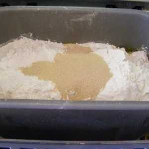Koji je najbolji kvasac za proizvođača kruha: pregled, značajke, proizvođači i recenzije