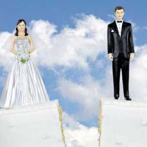 Koje dokumente su potrebne za razvod s djetetom? Gdje bih trebao podnijeti zahtjev za razvod?