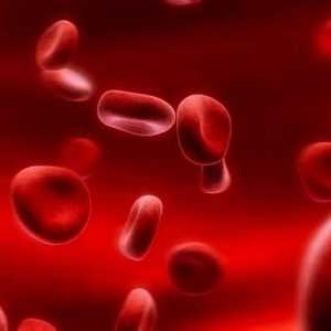 Koji proizvodi razrjeđuju krv?
