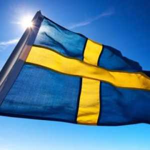Koje su najpopularnije švedske nazive?