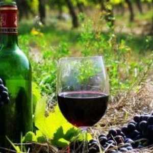 Koja je armenska vina vrijedna pozornosti? Armenski vijenac šipka: cijena, recenzije