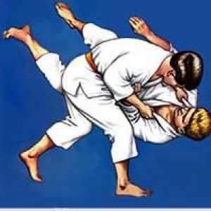 Koji je značenje boje remena u judo