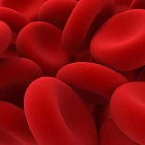 Što bi hemoglobin trebao biti kod muškaraca? Norma hemoglobina kod muškaraca prema dobi