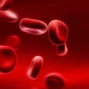 Što bi žena trebala imati hemoglobin: norme i moguća odstupanja