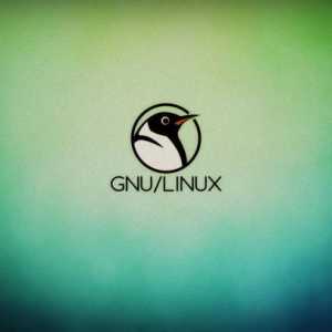 Koji Linux odabrati? Pregled i značajke Linux operativnog sustava