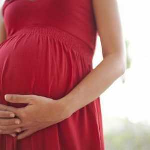 Koja je normalna težina fetusa u trudnoći od 32 tjedna?