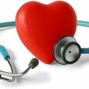 Koji je bolji krvni tlak monitora? Stručni savjeti i savjeti
