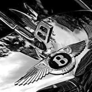 Koja je ikona automobila Bentleya? Povijest i raspon modela marke