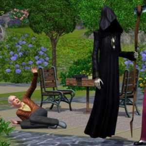 Puna u virtualnoj stvarnosti, ili Kako postati `Sims-3` smrt?