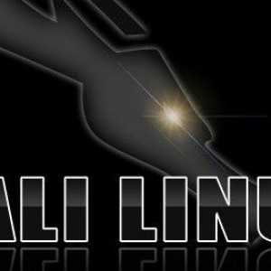 Kali Linux: instalirajte na USB bljesak. Kratka uputa
