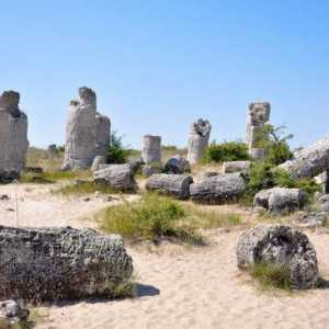 Kamena šuma u Bugarskoj: opis, povijest i zanimljive činjenice