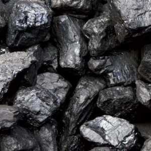 Ugljen: stvaranje naslaga. Važnost ugljena u industriji