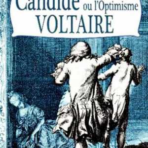`Candid` Voltaire: analiza rada, glavna ideja i ideja. Candide, ili Optimizam:…