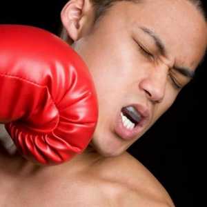 Capa za boks: kako odabrati, vrste, upute za obuku
