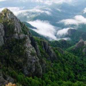 Karpatske planine - kamena zemlja