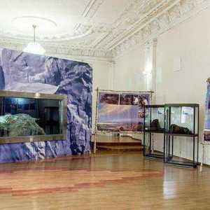 Galerija slika (Vladivostok) - čista umjetnost