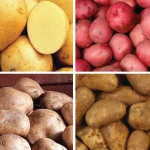 Krumpir sjemena: sorte (karakteristike i opis)