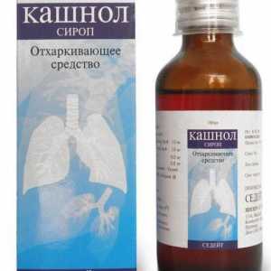 `Kashnol` (sirup): upute za uporabu, recenzije