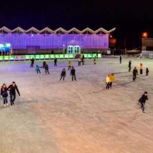 Klizalište u Sokolniki `Ice`: dizajn, usluge, dječje grupe, privilegije