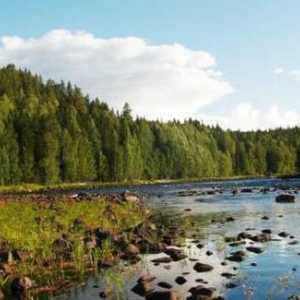 Kampiranje u Karelia: što odabrati?
