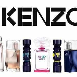 Kenzo - parfema za muškarce i žene: recenzije. Eau de toilette Kenzo