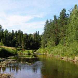 Kerzhenets - rijeka u regiji Nizhny Novgorod: opis, ribolov, odmor