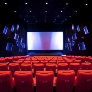 Kino Vladimira: pregled i opis