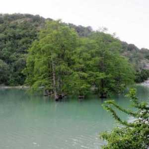 Cypress Lake (Sukko): opis, značajke, fotografija