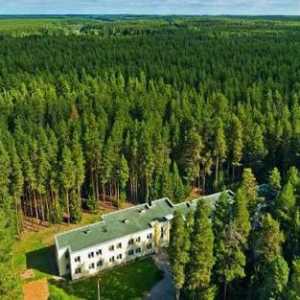 Kirov, Pine Forest (sanatorium): opis, usluge, kontakti i mišljenja