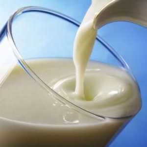 Proizvodi od kiselog mlijeka. Popis najpopularnijih