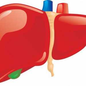 Cista na jetri: uzroci, simptomi, liječenje