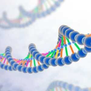 Razvrstavanje gena - strukturno i funkcionalno
