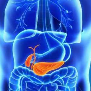 Razvrstavanje kroničnog pankreatitisa i njegovog oblika