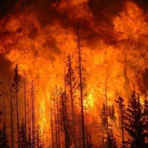 Razredi opasnosti od požara u šumama. Naredba Savezne šumarske agencije od 5. srpnja 2011. br. 287…