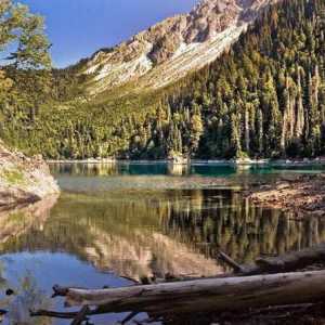 Klima Abhazije po mjesecima: značajke, preporuke i recenzije turista