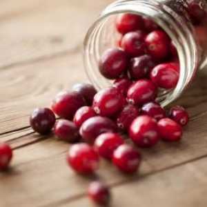 Cranberries on moonshine: značajke kuhanja, najbolje recepte i recenzije