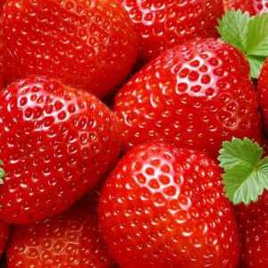 Strawberry Crown: opis sorte, recenzije