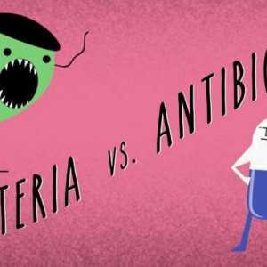 Kada djeluje antibiotik? Antibiotici širokog spektra djelovanja nove generacije