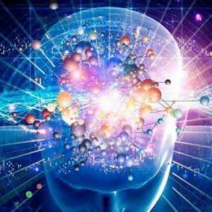 Kognitivna psihologija: predstavnici i glavne ideje