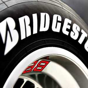 Bridgestone kotači: vrste, karakteristike, recenzije