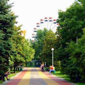 Veliki kotač (Lazarevskoe): visina, recenzije. Gradski zabavni park u Lazarevskom